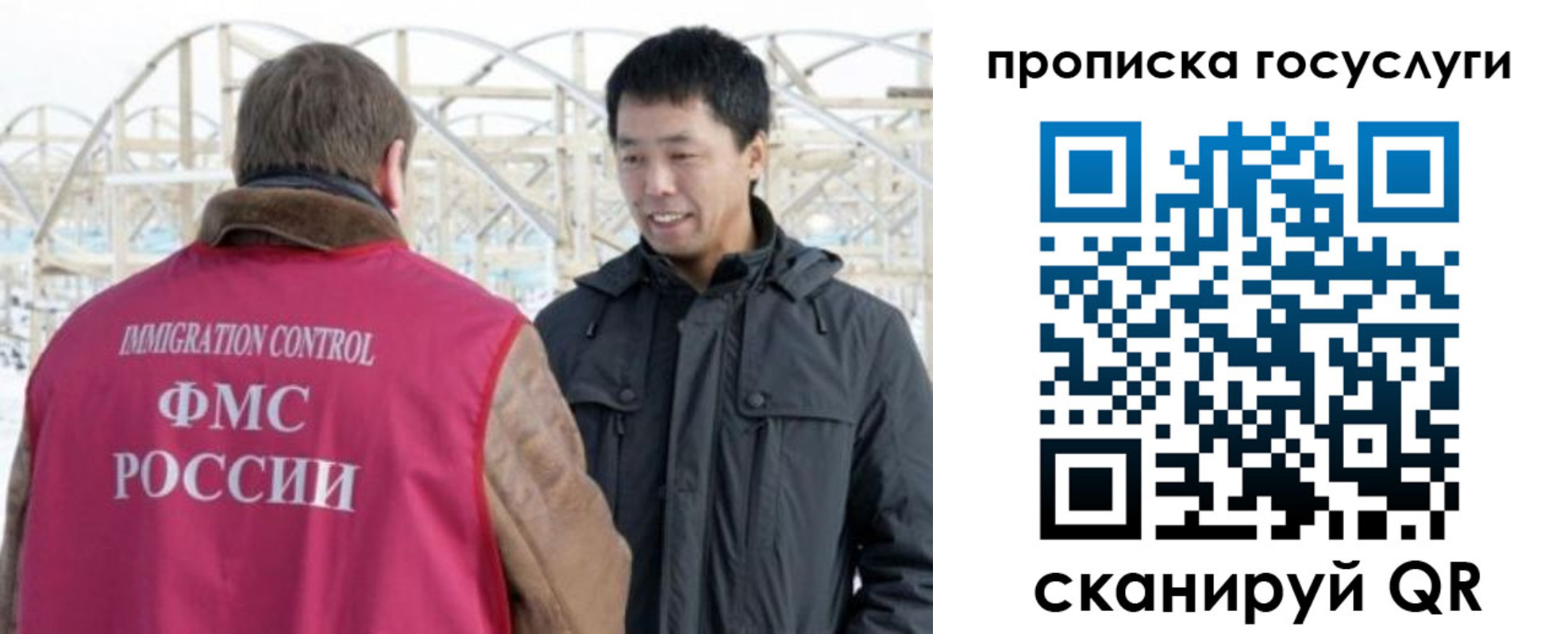 прописка поиск в Коле