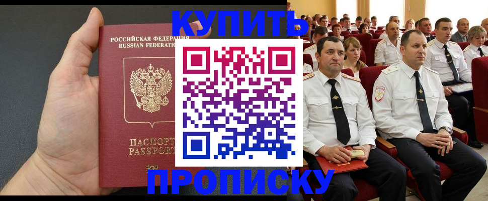 временная регистрация поиск в Коле